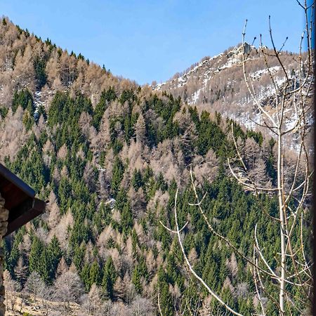 Appartamento Casa Graziosa Campodolcino Esterno foto
